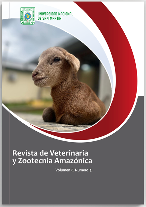 					View Vol. 6 No. 1 (2026): Revista de Veterinaria y Zootecnia Amazónica
				