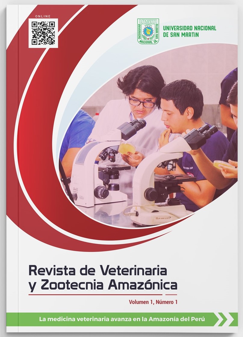 					Ver Vol. 1 Núm. 1 (2021): Avances de la Medicina Veterinaria en la Amazonía Peruana
				