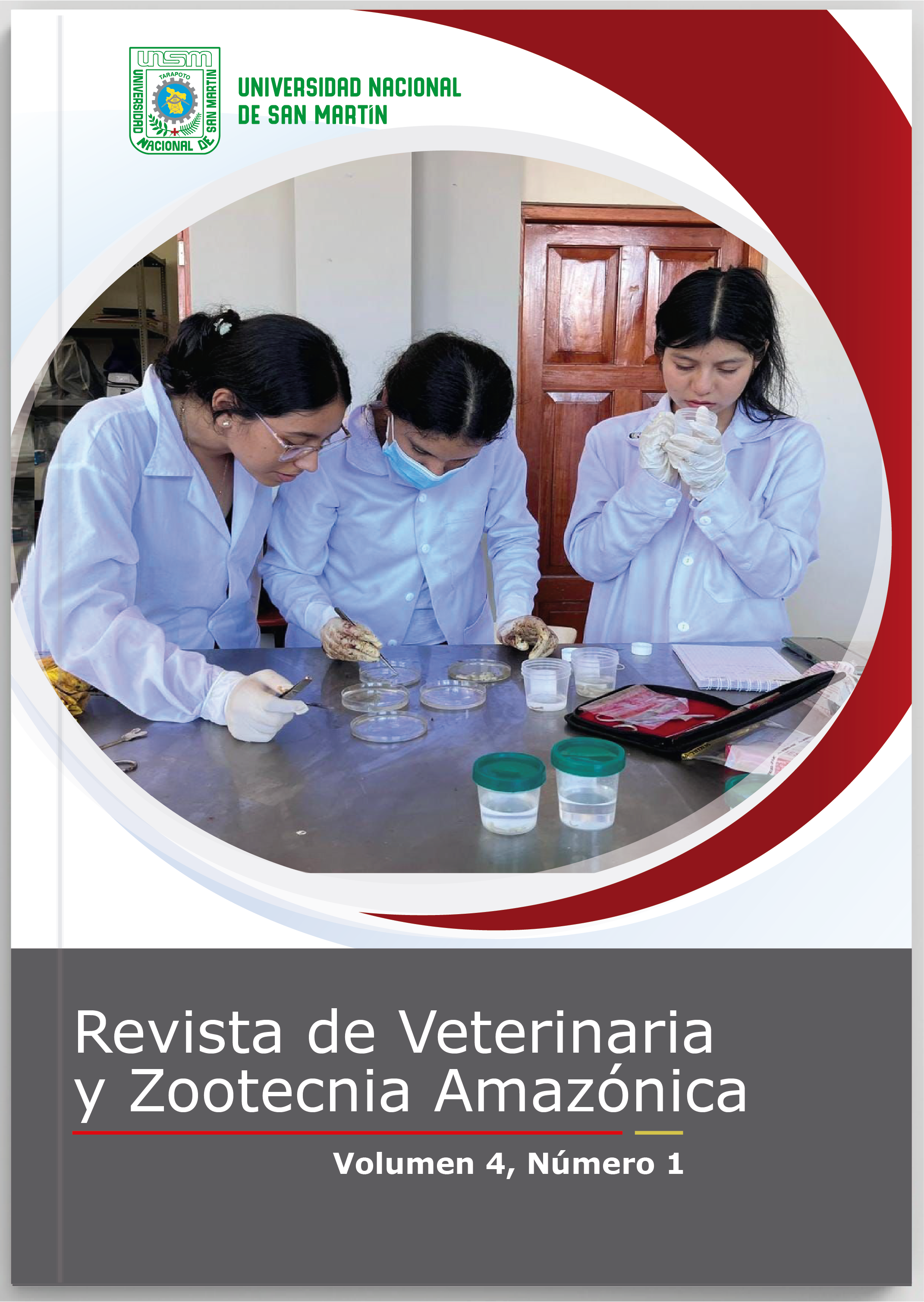 					View Vol. 4 No. 1 (2024): Revista de Veterinaria y Zootecnia Amazónica
				